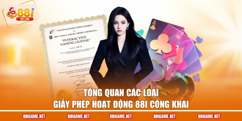 Tổng quan các loại giấy phép hoạt động 88I công khai